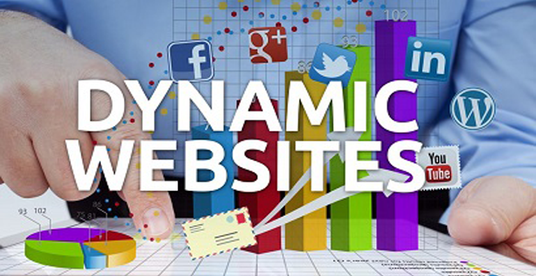Dynamic Website Development